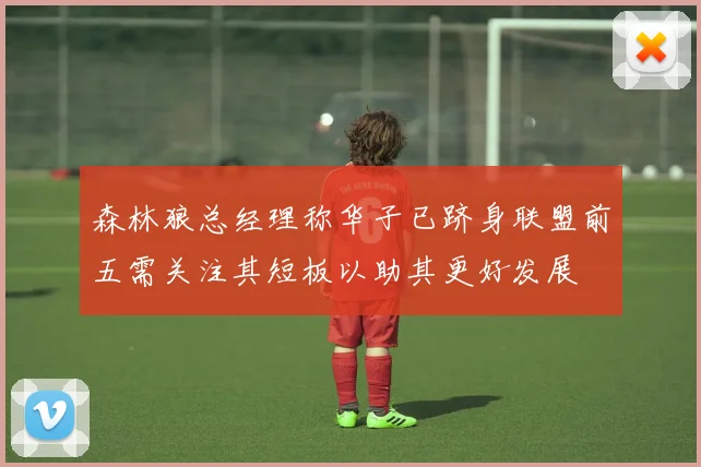 森林狼总经理称华子已跻身联盟前五需关注其短板以助其更好发展